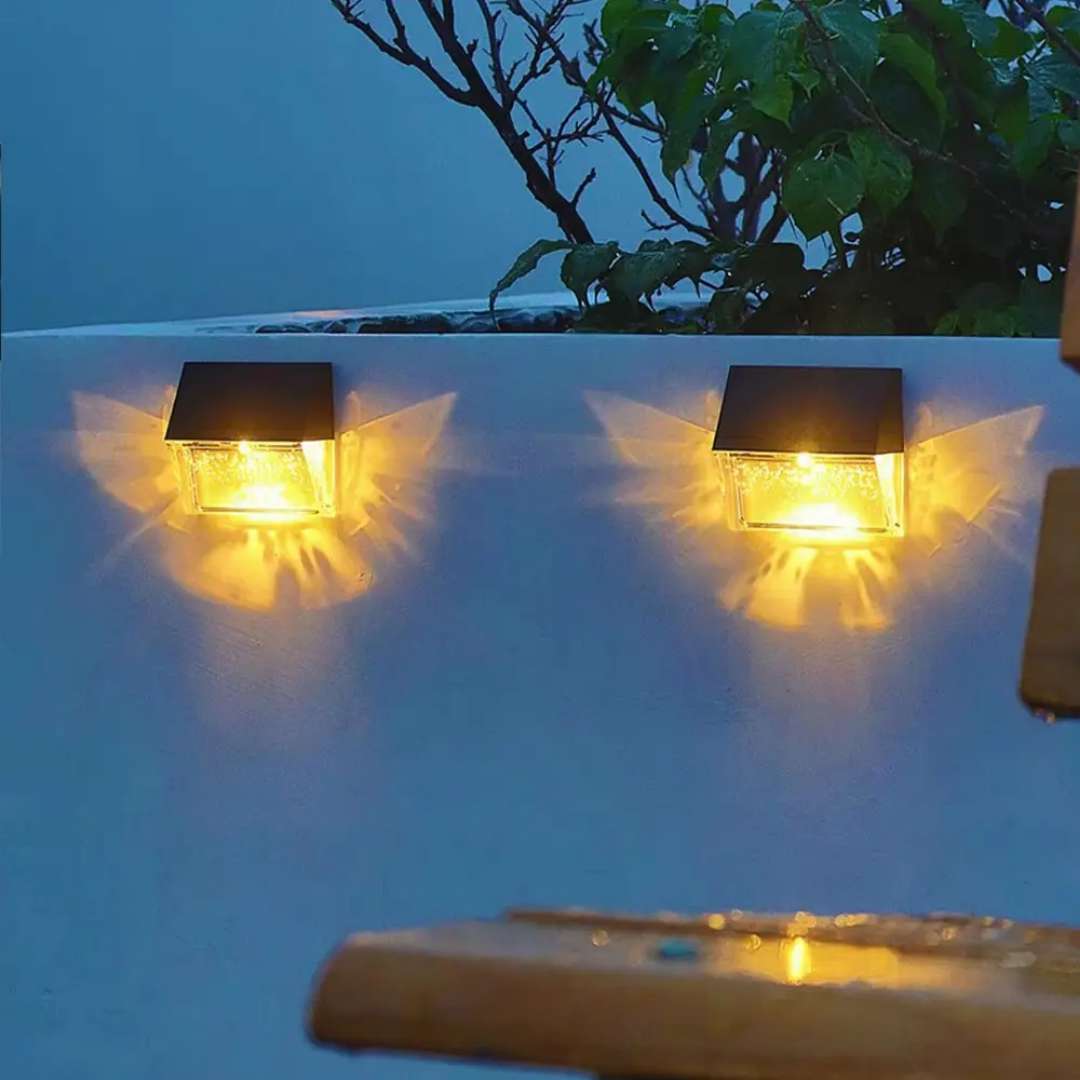 butterfly glow wall light