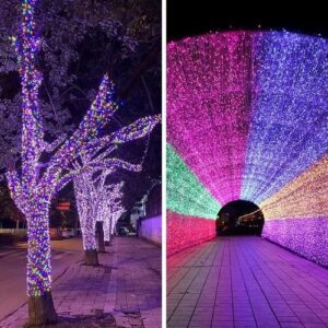 solar string light (5)