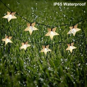 solar string star light