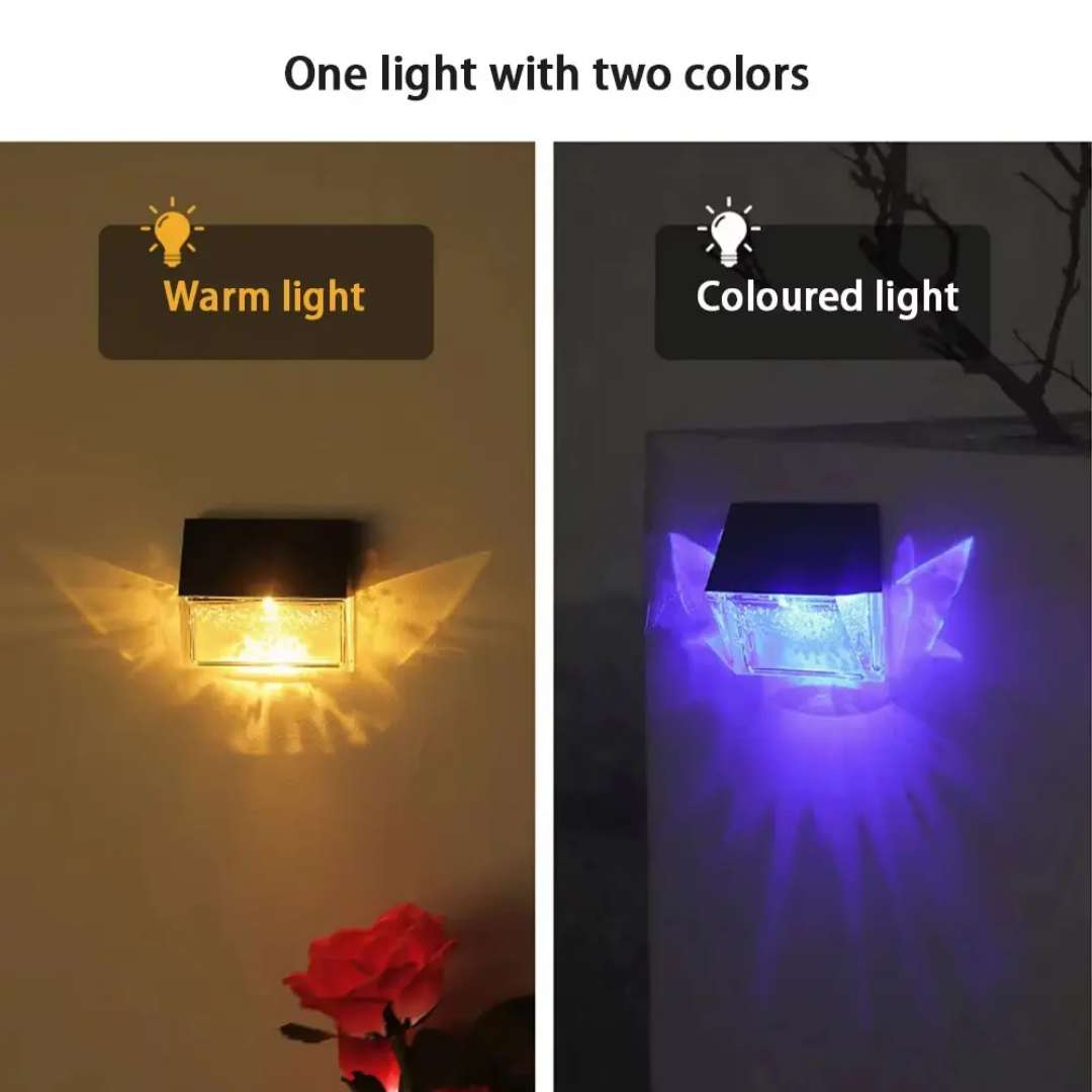 butterfly glow wall light